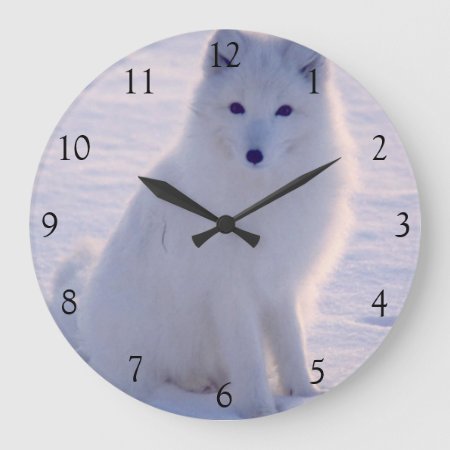 Arctic White Fox Winter Alaska Photo Designed Large Clock
