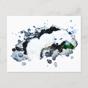 *~* Arctic White - Snow Polar Fox Ap18 Wildlife Postcard