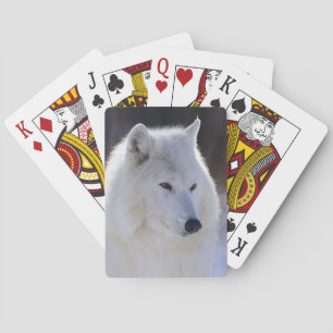 Arctic White Wolf Playing Cards