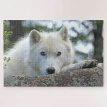 ARCTIC WOLF 20x30 INCH