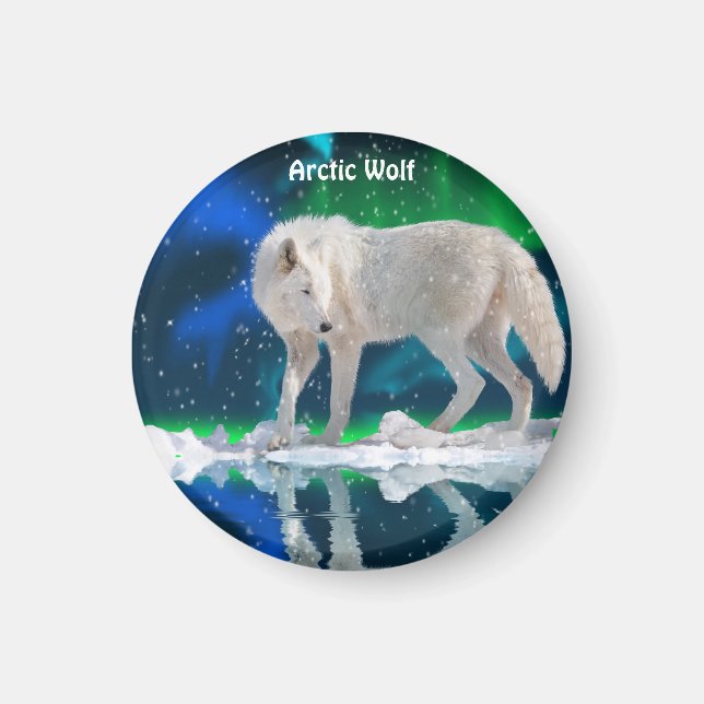 Arctic Wolf & Aurora Wildlife Collection Magnet (Front)
