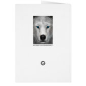 Arctic Wolf Cards (Back)