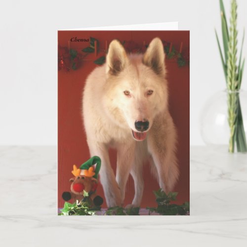 Arctic Wolf Christmas Card