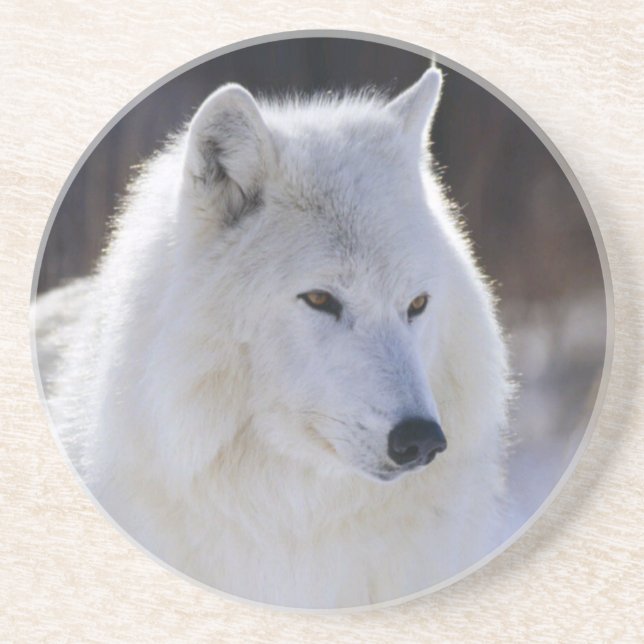 Arctic Wolf Coasters (Front)