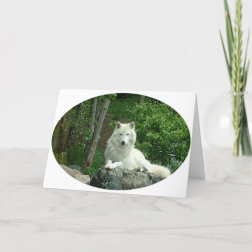 Arctic Wolf Greeting Card