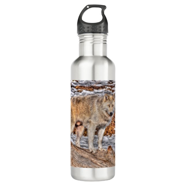 Arctic Wolf in Winter Forest Wildlife Photo Water Bottle (Front)