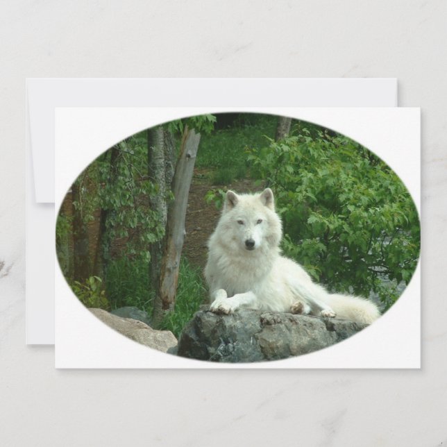 Arctic Wolf Invitation (Front)