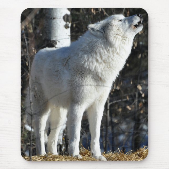 Arctic Wolf Mouse Pad (Front)