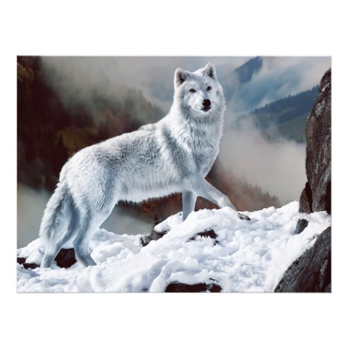 Arctic Wolf Photo Print