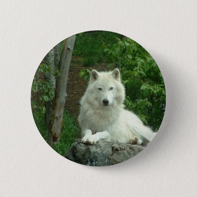 Arctic Wolf Pin (Front)