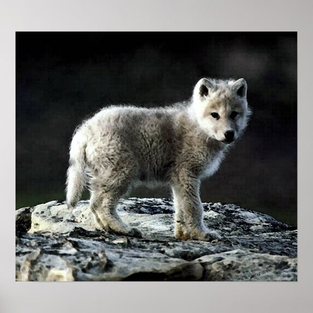 Arctic Wolf Portrait Poster Print (Front)