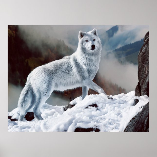 Arctic Wolf Poster (Front)