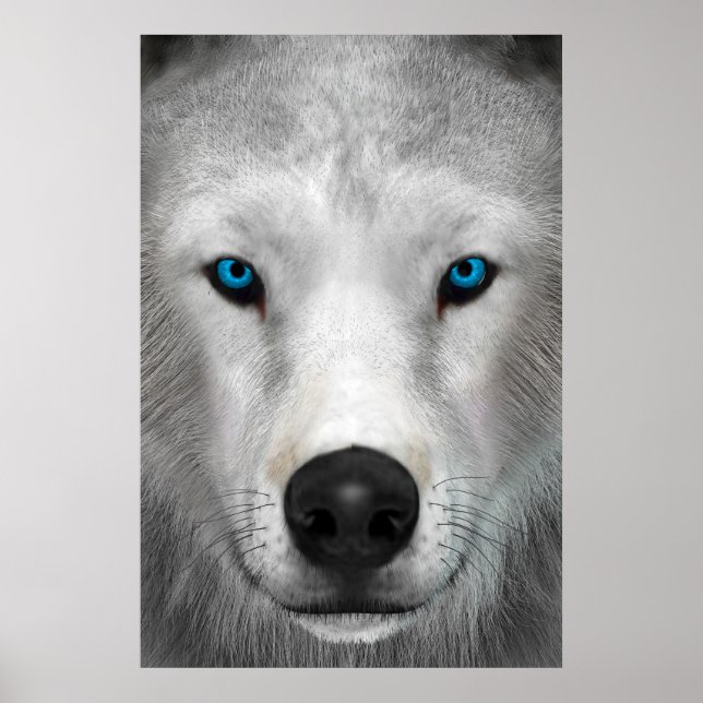 Arctic Wolf Poster (Front)