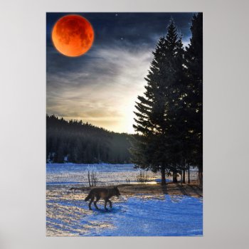 Arctic Wolf  Snow & Lake Wildlife Art Poster by RavenSpiritPrints at Zazzle