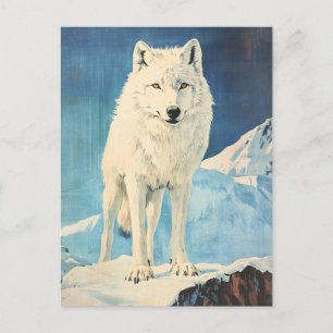 Arctic Wolf vintage Postcard