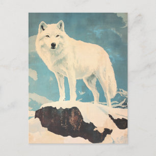 Arctic Wolf vintage Postcard