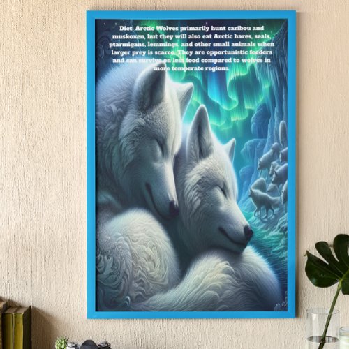 Arctic Wolves White Wolves Resting  Poster