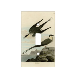 Arctic Yager (Jager) - Audubon's Birds of America Light Switch Cover