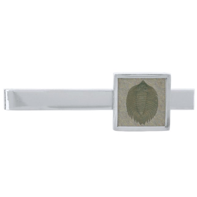 Arctinurus Boltoni Fossil Trilobite Silver Finish Tie Bar (Front)