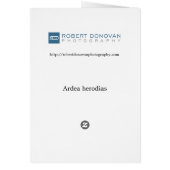 Ardea herodias cards (Back)
