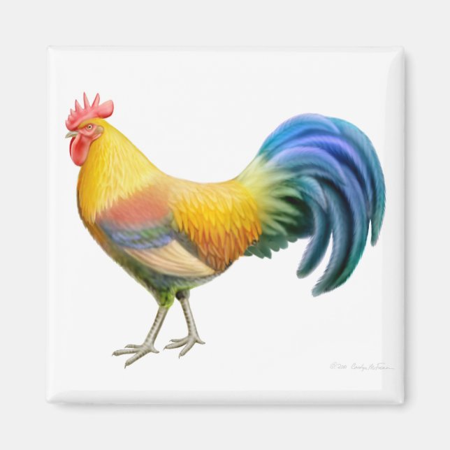 Ardenner Rooster Square Magnet (Front)