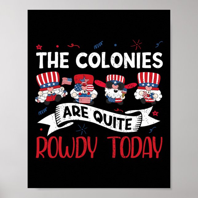 Are Quite Rowdy Independence Day Funny 4th Of July Poster (Front)