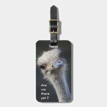 Are We There Yet ? Luggage Tag by harcordvalleyranch at Zazzle