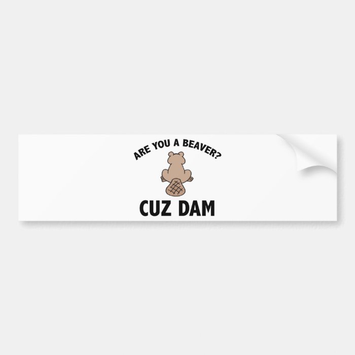 Are You A Beaver? Cuz Dam Bumper Sticker