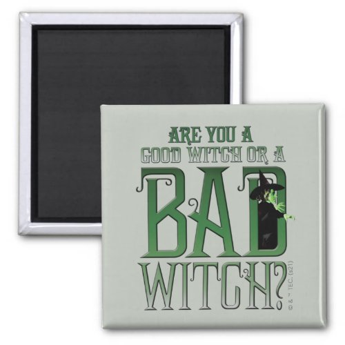 Are You A Good Witch Or A Bad Witch Magnet