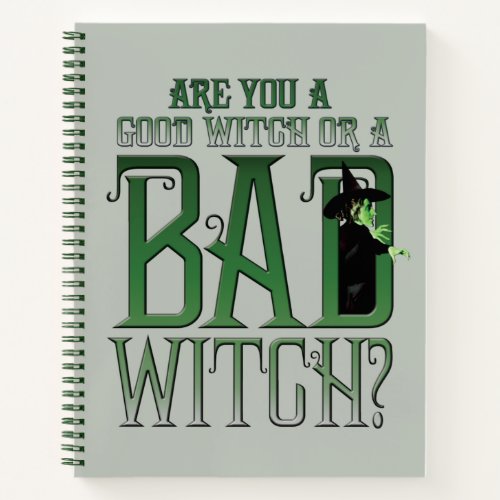 Are You A Good Witch Or A Bad Witch Notebook