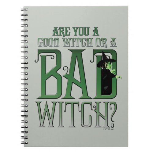Are You A Good Witch Or A Bad Witch Notebook