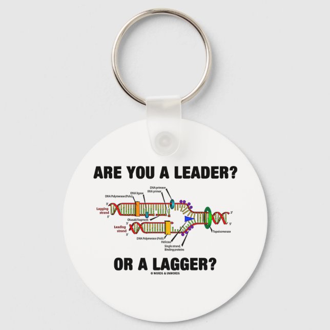 Are You A Leader? Or A Lagger? (DNA Replication) Keychain (Front)