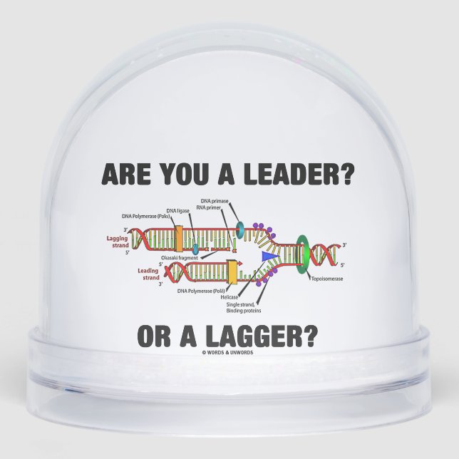 Are You A Leader? Or A Lagger? DNA Replication Snow Globe (Front)