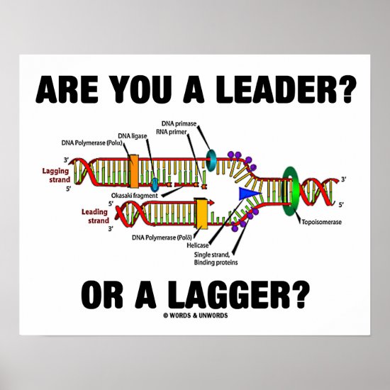 Are You A Leader? Or A Lagger? Geek DNA Humor Poster