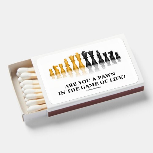 Are You A Pawn In The Game Of Life Chess Humor Matchboxes