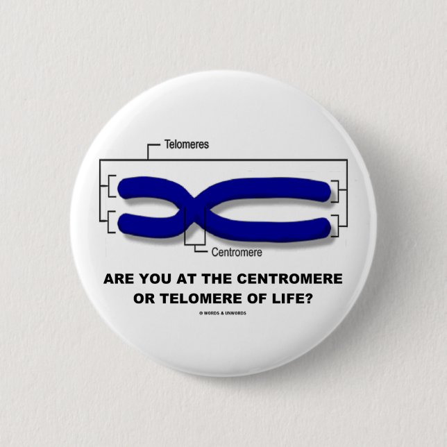 Are You At The Centromere Or Telomere Of Life? Button (Front)