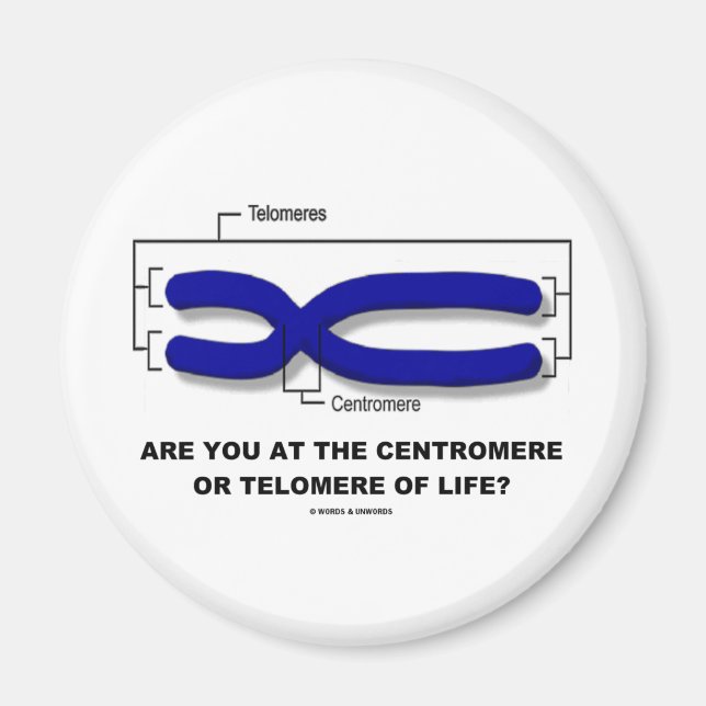 Are You At The Centromere Or Telomere Of Life? Magnet (Front)