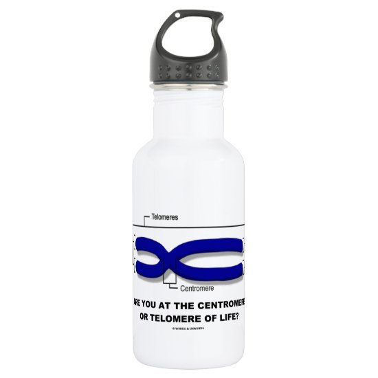 Are You At The Centromere Or Telomere Of Life? Stainless Steel Water Bottle