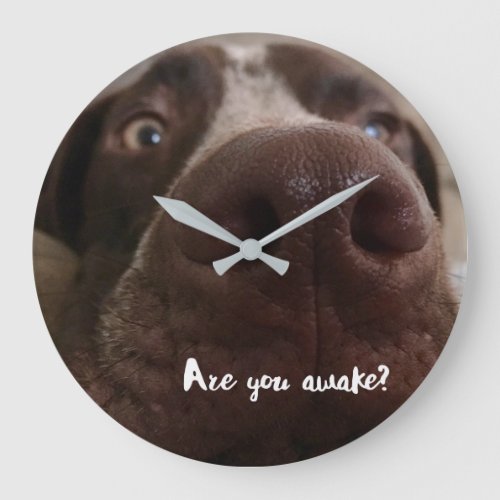 Are You Awake Wall Clock