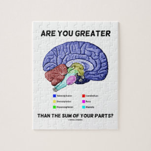 Are You Greater Than The Sum Of Your Parts? Brain Jigsaw Puzzle
