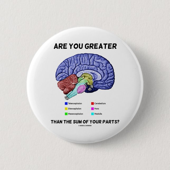 Are You Greater Than The Sum Of Your Parts? Brain Pinback Button (Front)