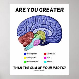 Are You Greater Than The Sum Of Your Parts? Brain Poster