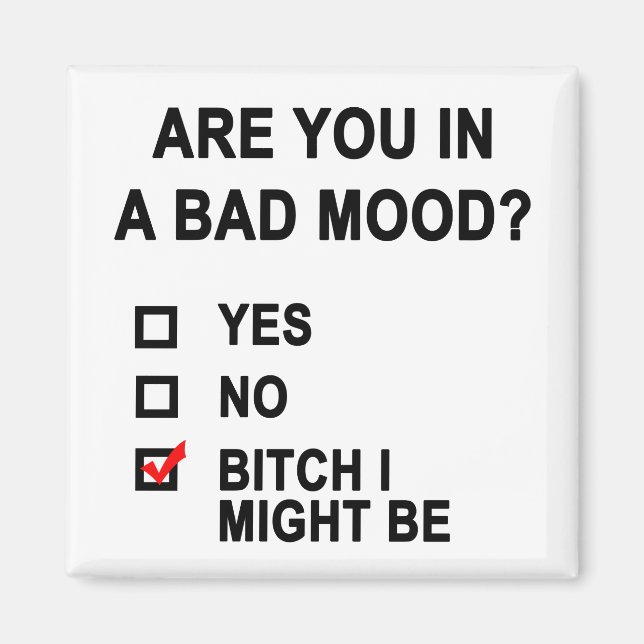 Are You In A Bad Mood? Magnet (Front)