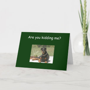 ARE YOU KIDDING=40th BIRTHDAY HUMOR Card