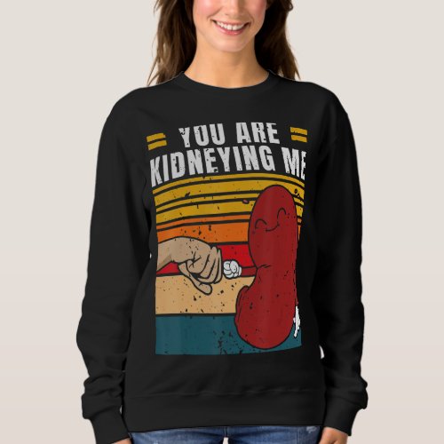 Are You Kidneying Me Joke Humor Sarcastic Kidney b Sweatshirt