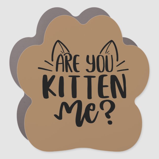 Are You Kitten Me Car Magnet (Front)