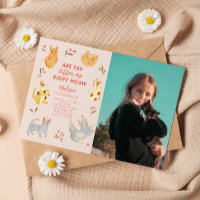 Are You Kitten Me Cat Birthday Photo