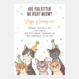 Are You Kitten Me Cute 1st Birthday Invitation