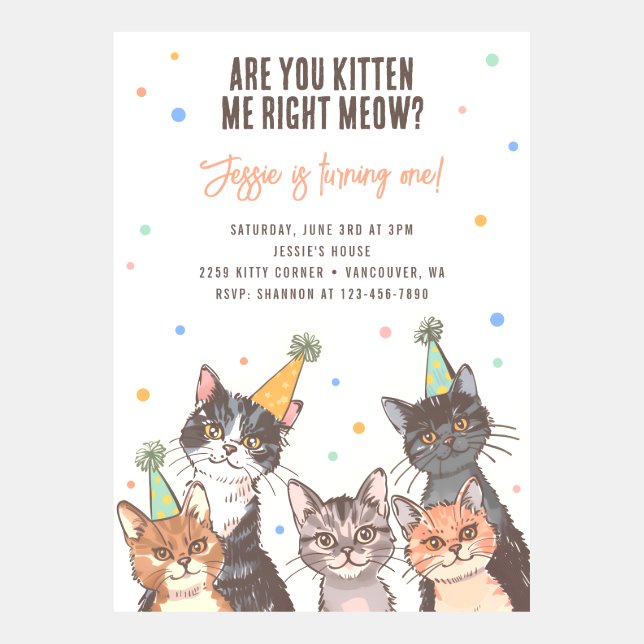Are You Kitten Me Cute 1st Birthday Invitation (Front)