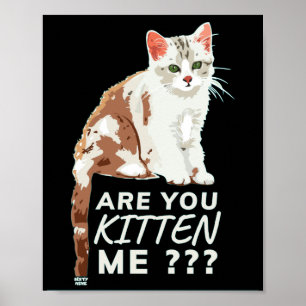"ARE YOU KITTEN ME" funny cute cat      Poster